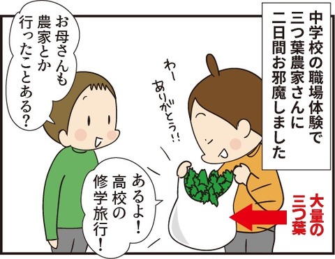 20190901スキー行きたかった1