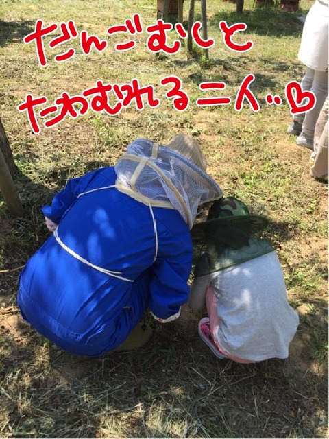 20170719養蜂体験9