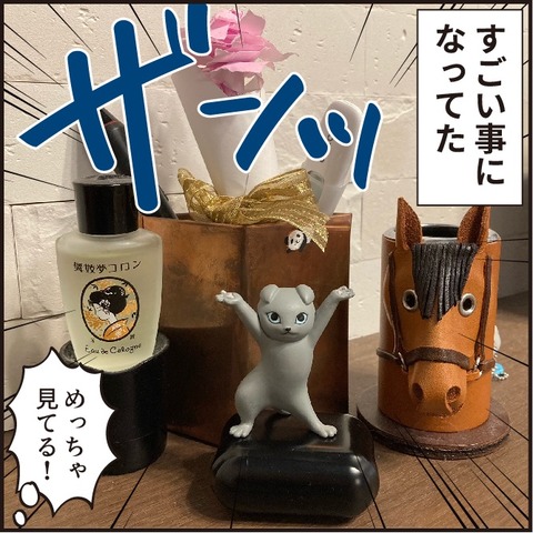 120210526めっちゃ観てる6