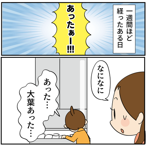 20240819ハム_8