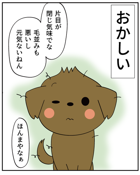 202506315ティアラ1_5
