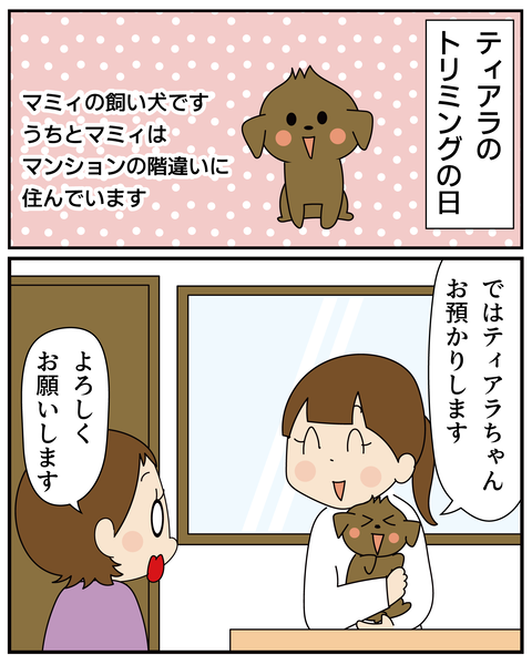 20270526ティアラ1_2