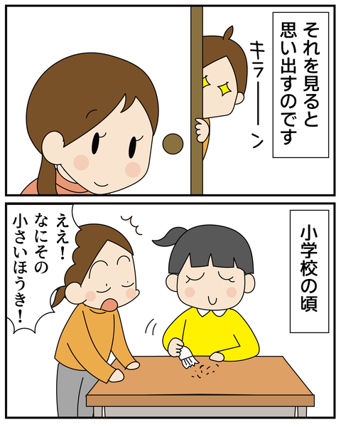 20270418欲しかったもの_3