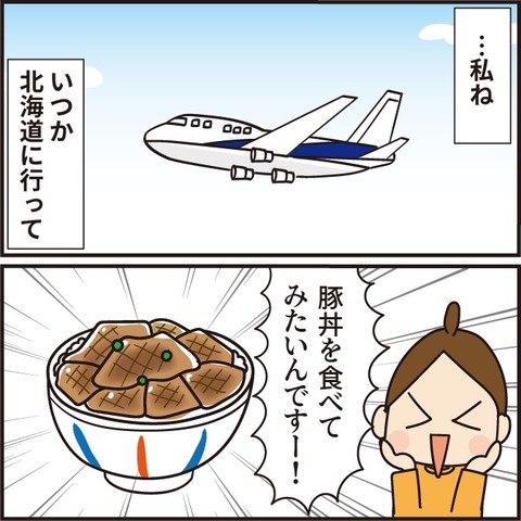 憧れの豚丼