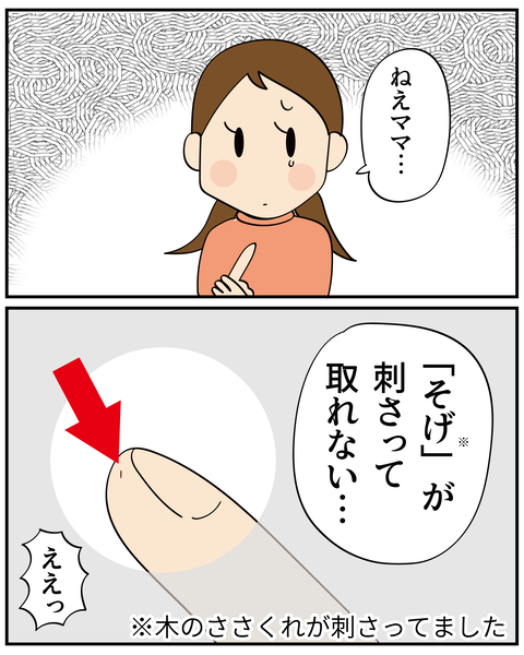20250129とげ_2