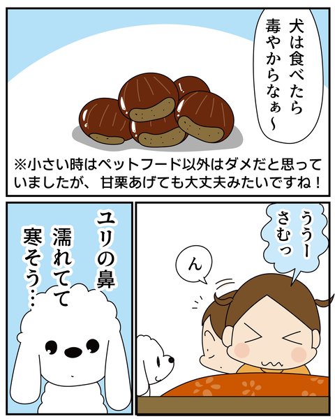 20270117親すごい2_4