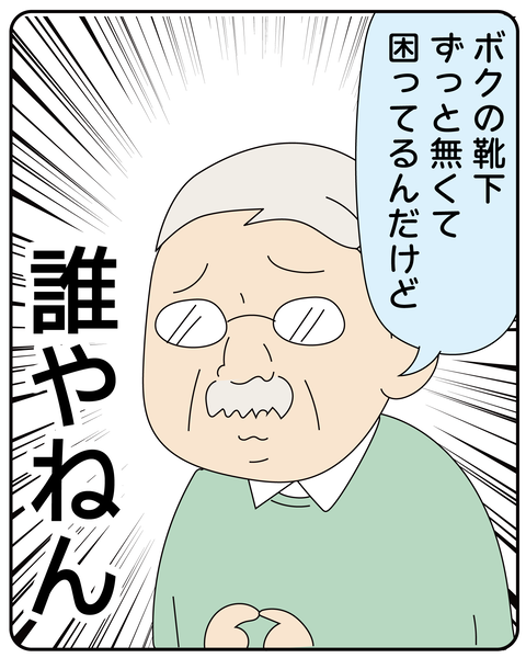 20270430妖精からのメッセージ_6