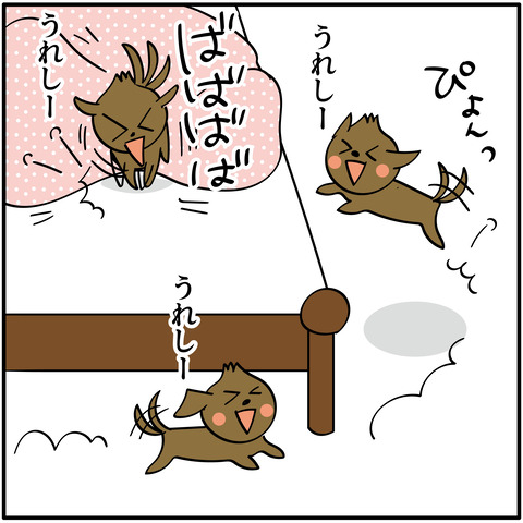 20230824嬉しティアラ-06