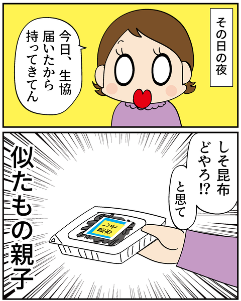 20250403しそ昆布_5