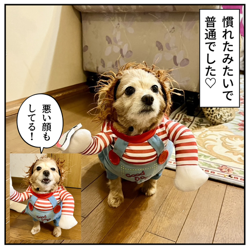 20240513チャッキー_9