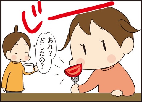 20190326トマトの種2