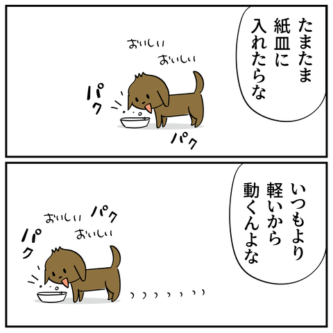 20241101紙皿2_6