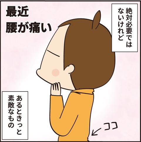 20220220抱き枕2
