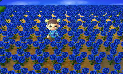 とびだせどうぶつの森 青バラいいよね Howling