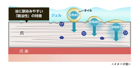 clearnailshot_pc_d1_30