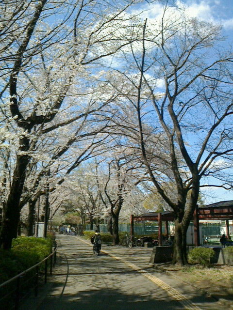 image のコピー 4