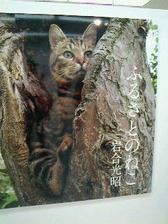 image のコピー 2