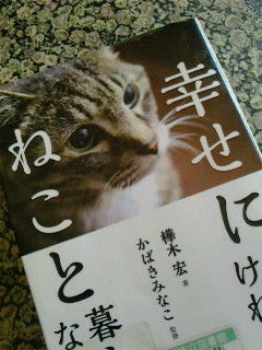 image のコピー 2