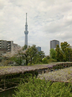 image のコピー 4