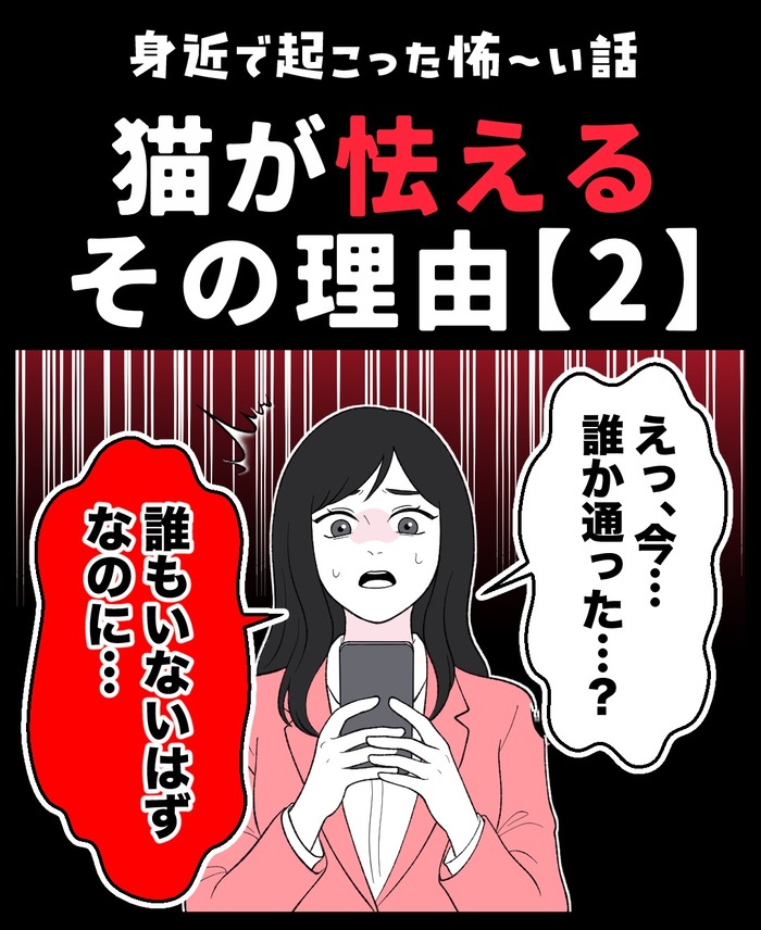【12】猫が怯えるその理由