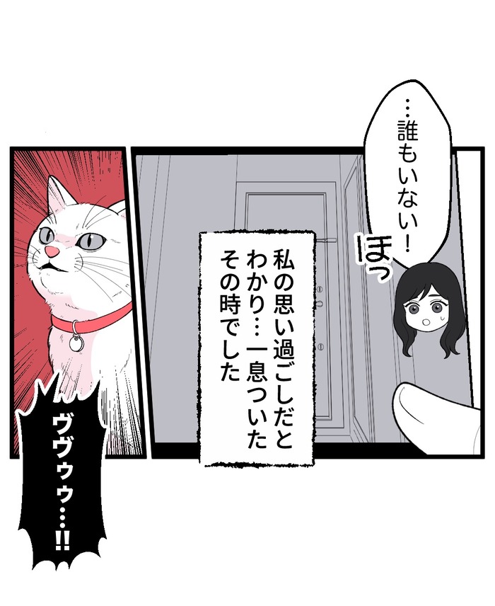 【12】猫が怯えるその理由