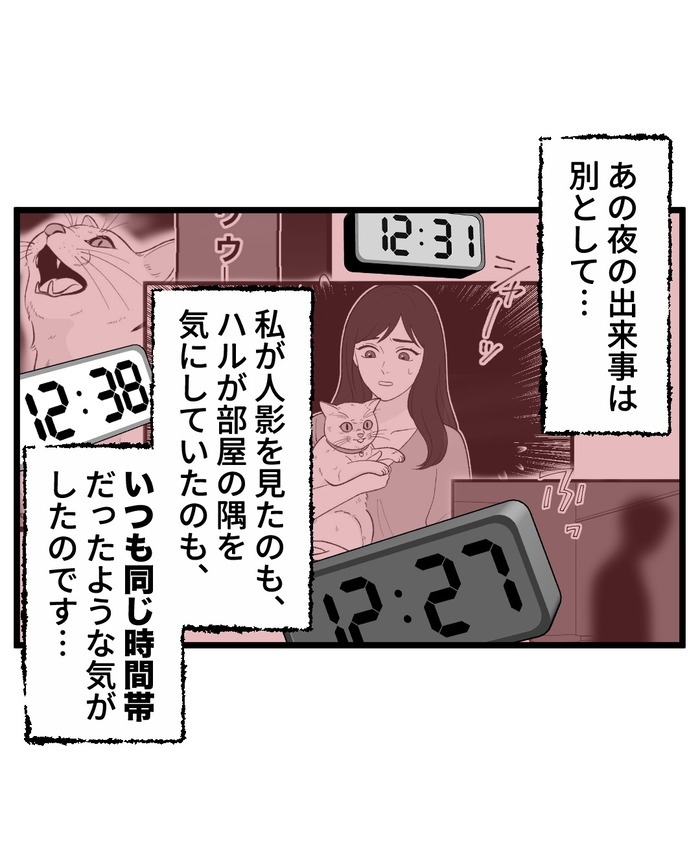 【12】猫が怯えるその理由