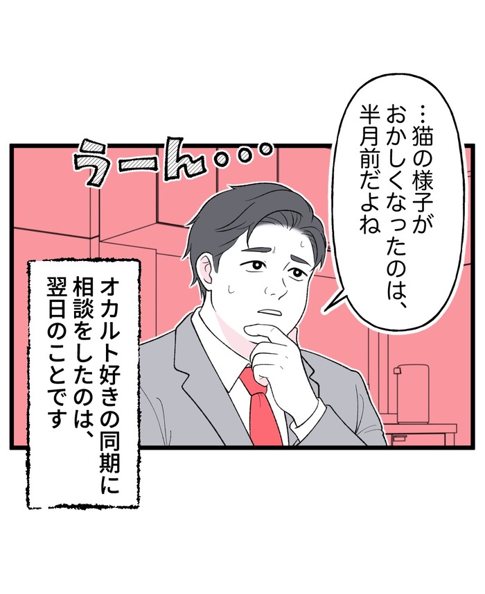 【12】猫が怯えるその理由