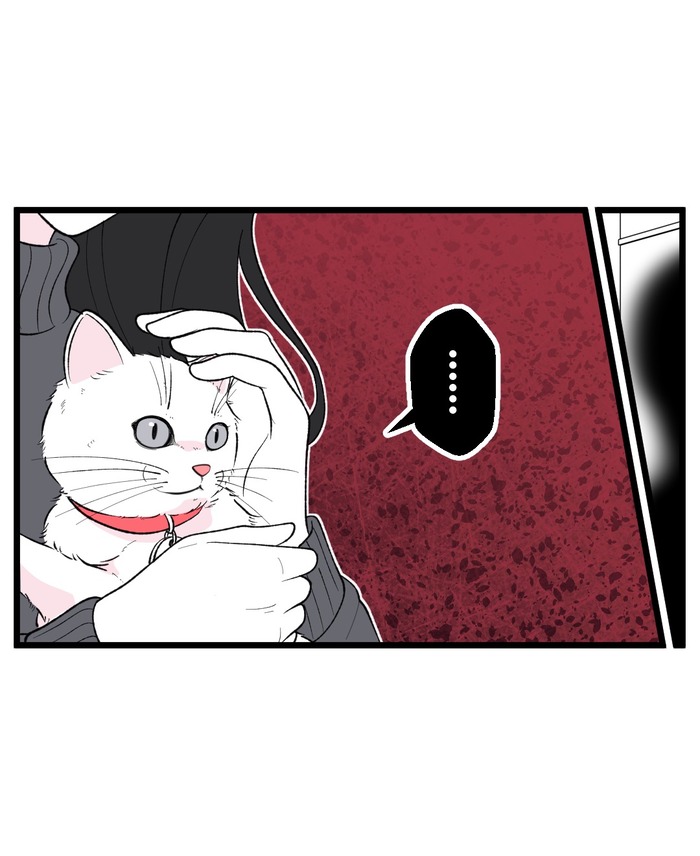 【12】猫が怯えるその理由