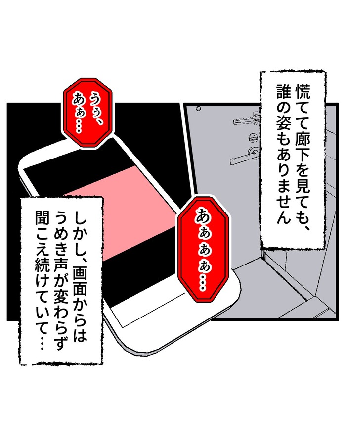 【12】猫が怯えるその理由