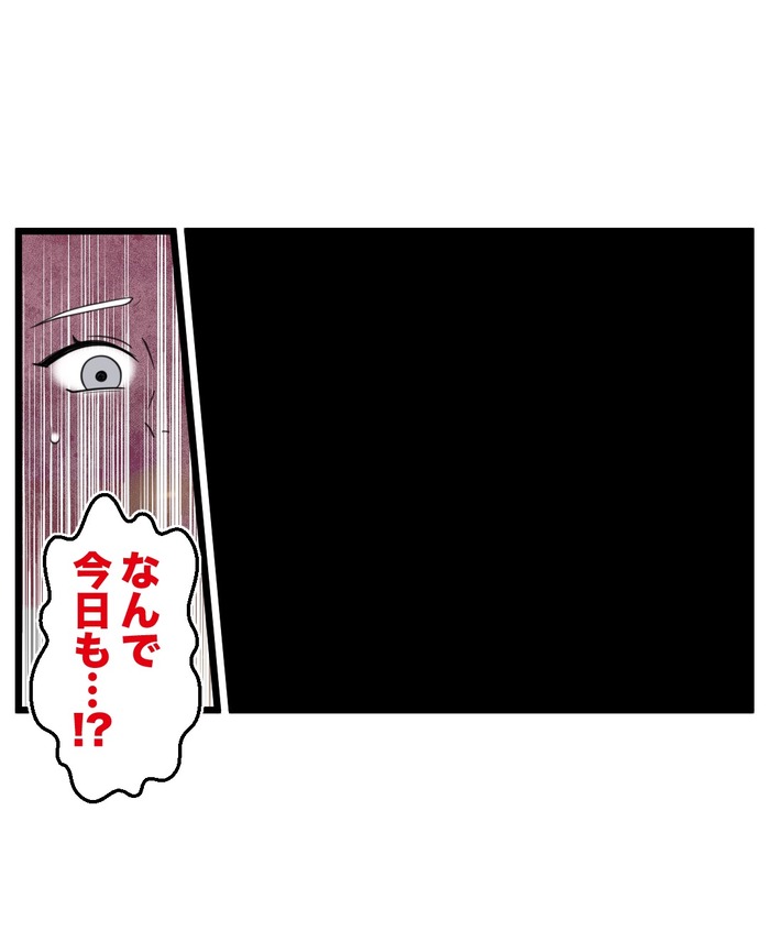 【12】猫が怯えるその理由