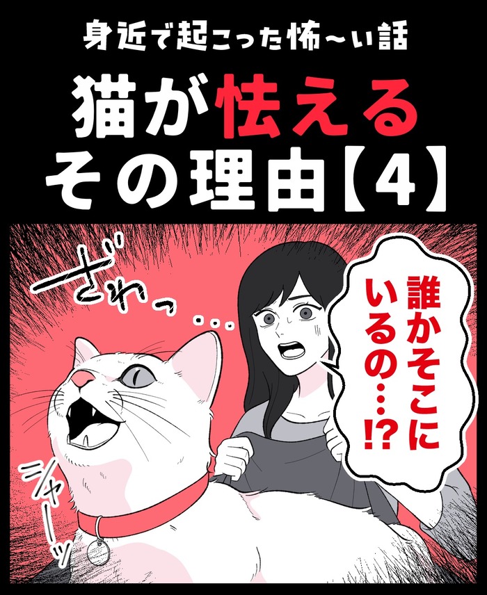 【12】猫が怯えるその理由
