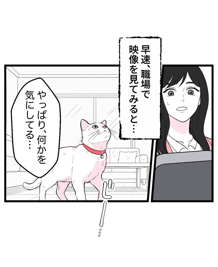 【12】猫が怯えるその理由