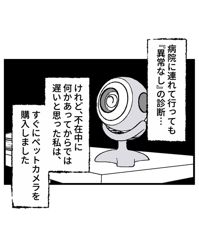 【12】猫が怯えるその理由