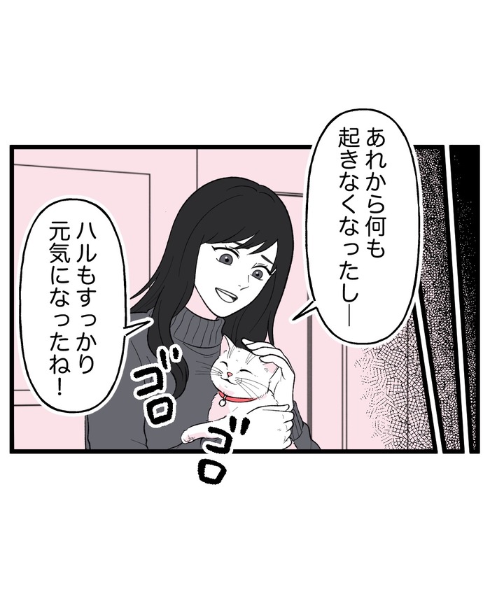 【12】猫が怯えるその理由