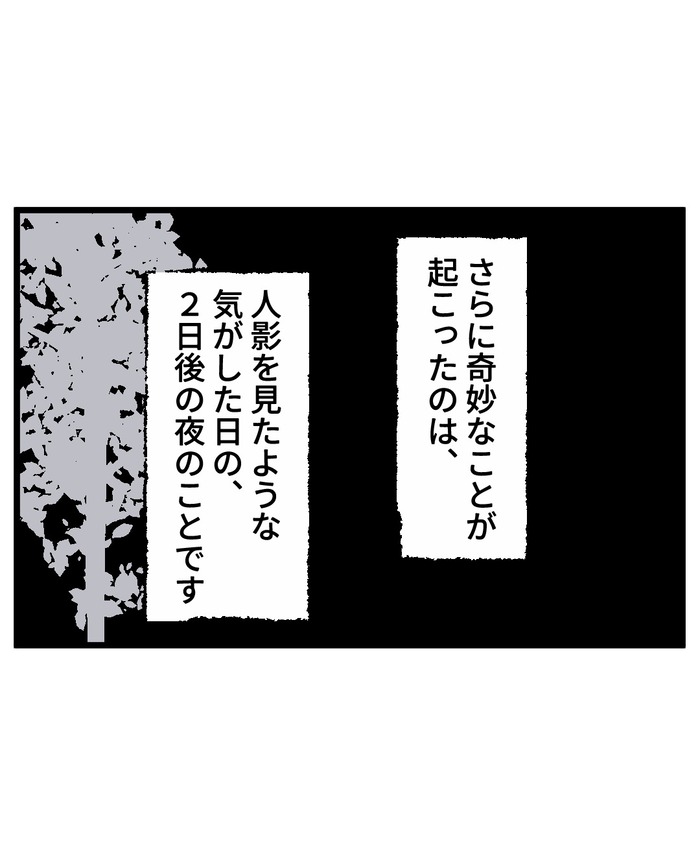 【12】猫が怯えるその理由