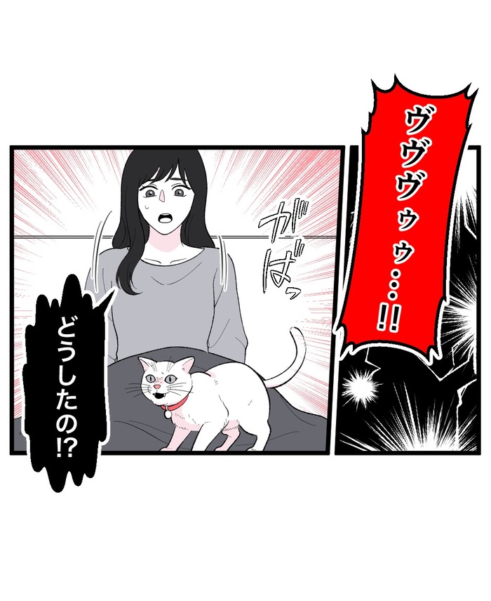 【12】猫が怯えるその理由