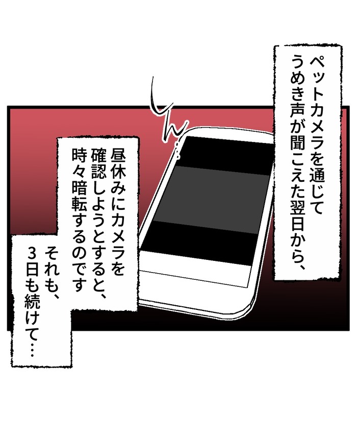 【12】猫が怯えるその理由