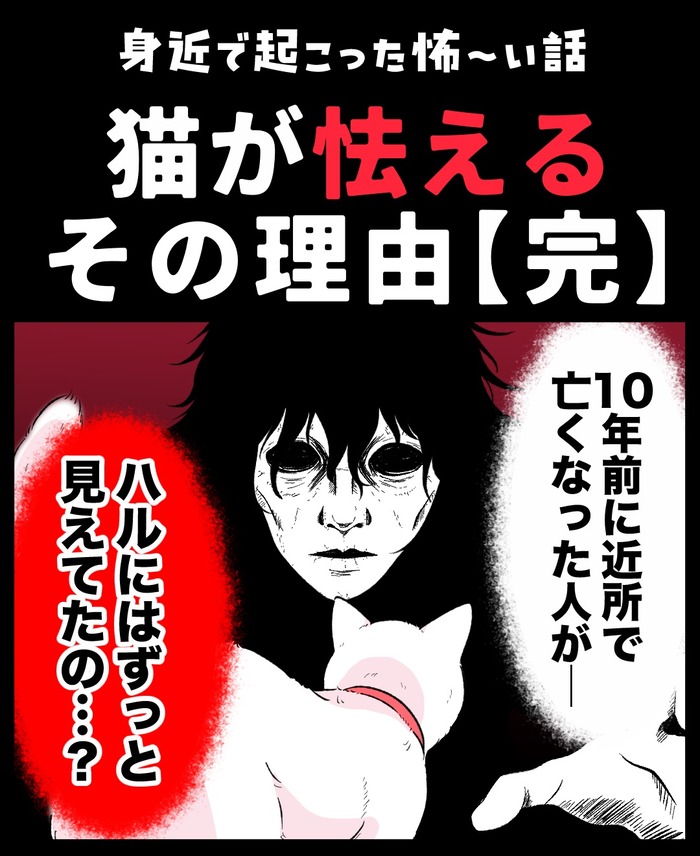 【12】猫が怯えるその理由