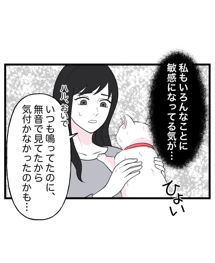 【12】猫が怯えるその理由