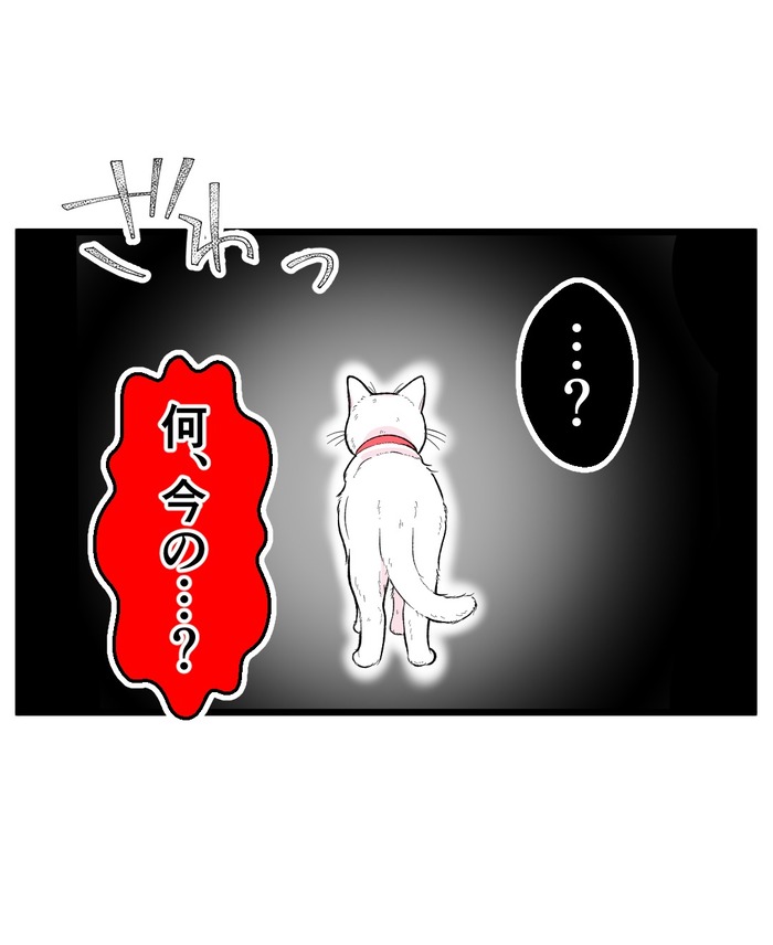 【12】猫が怯えるその理由