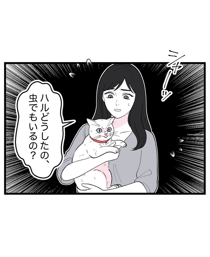 【12】猫が怯えるその理由