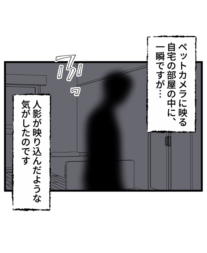 【12】猫が怯えるその理由