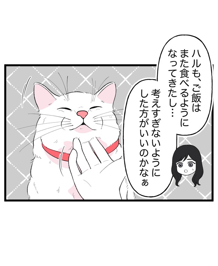 【12】猫が怯えるその理由
