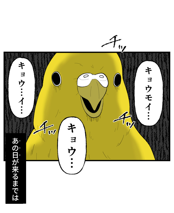 【７】インコの舌打ち_出力_009