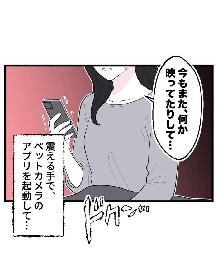 【12】猫が怯えるその理由