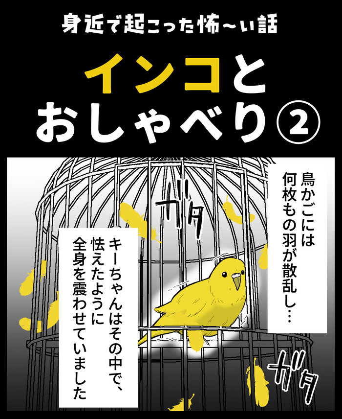 【７】インコの舌打ち