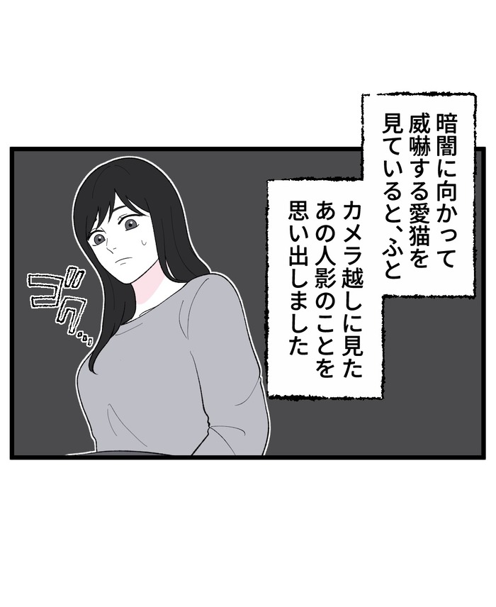 【12】猫が怯えるその理由