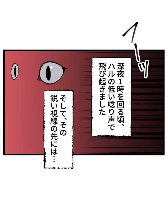 【12】猫が怯えるその理由