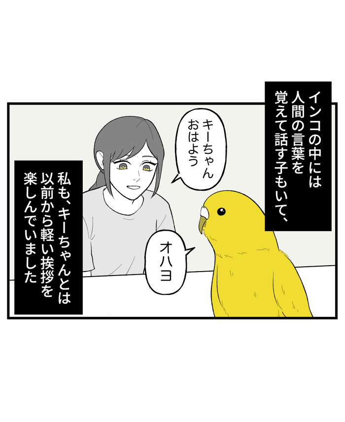 【７】インコの舌打ち_出力_002