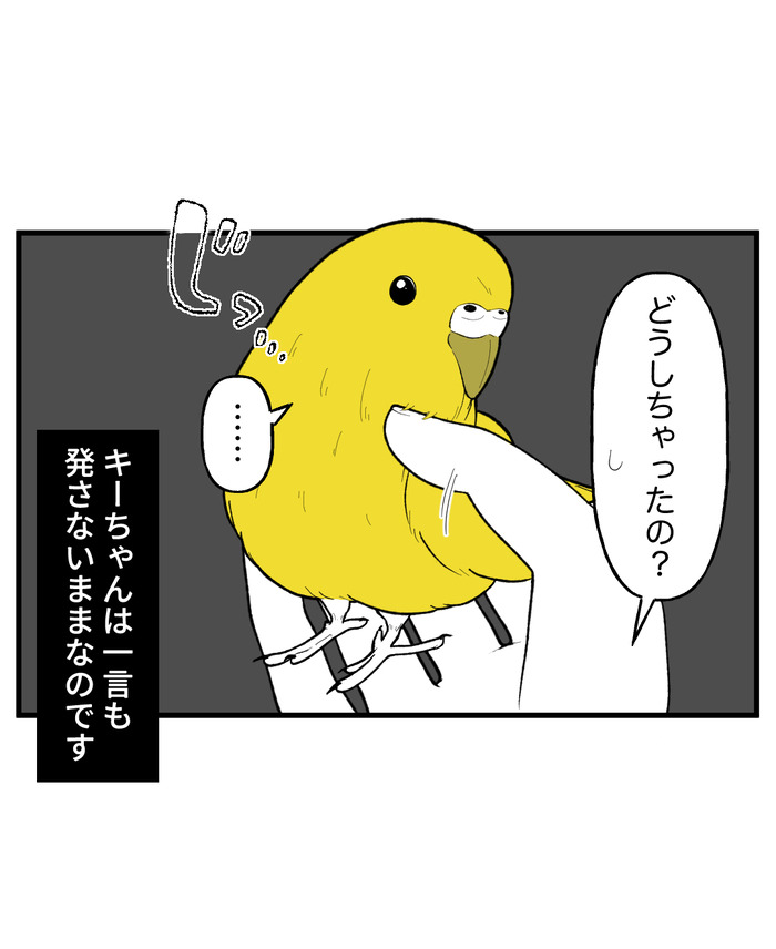 【７】インコの舌打ち_出力_004